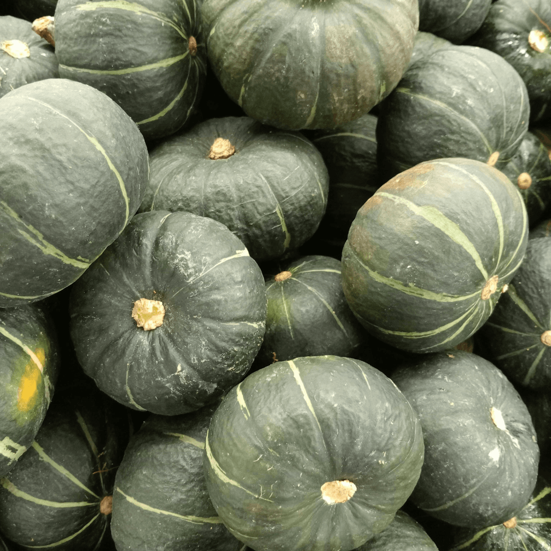 Squash