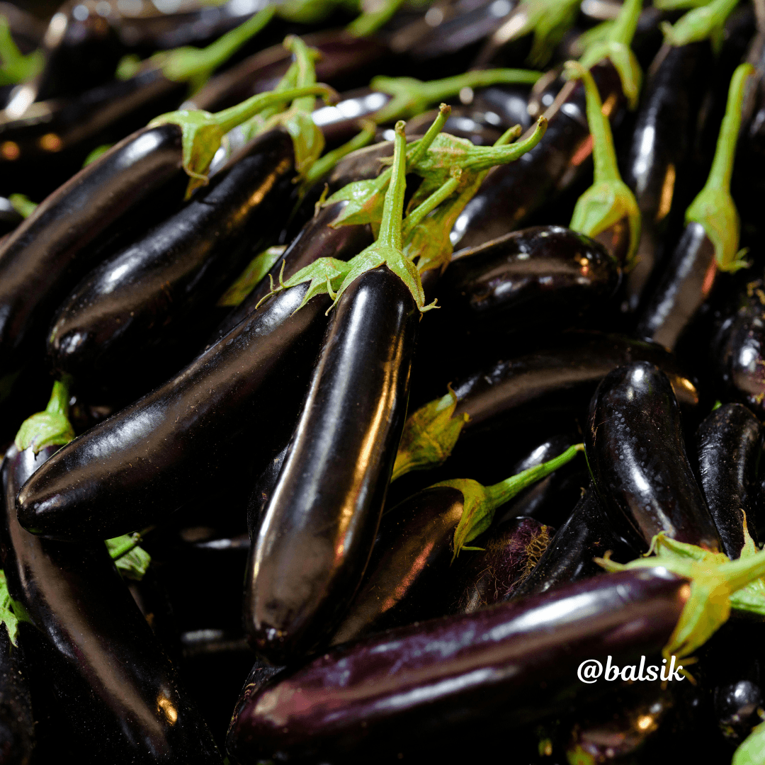 Eggplant