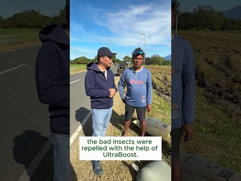 AgriGoPro testimonial — Inbred rice