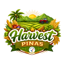Harvest Pinas