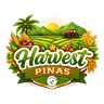 Harvest Pinas